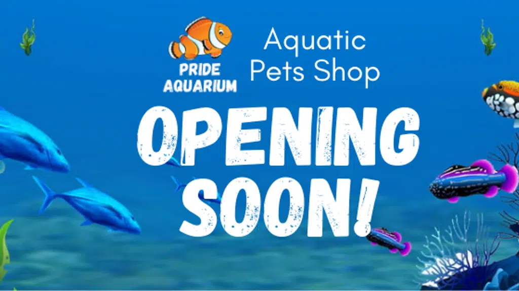 Pride Aquarium