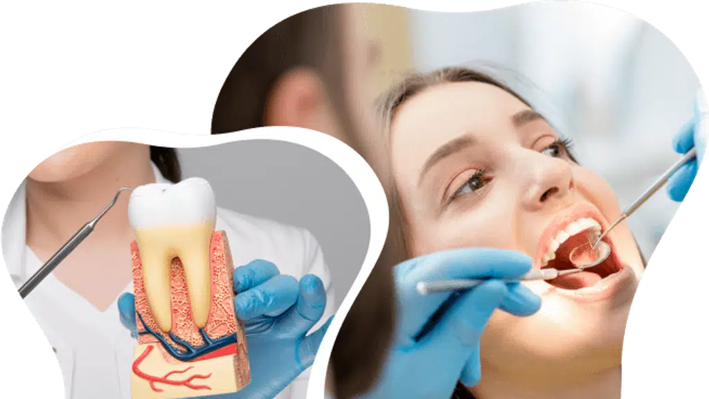 The Advanced Dental Care Center