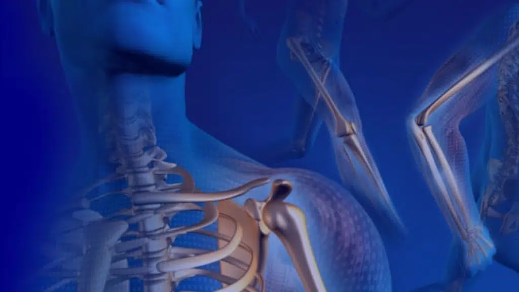 bonesandjoints.in
