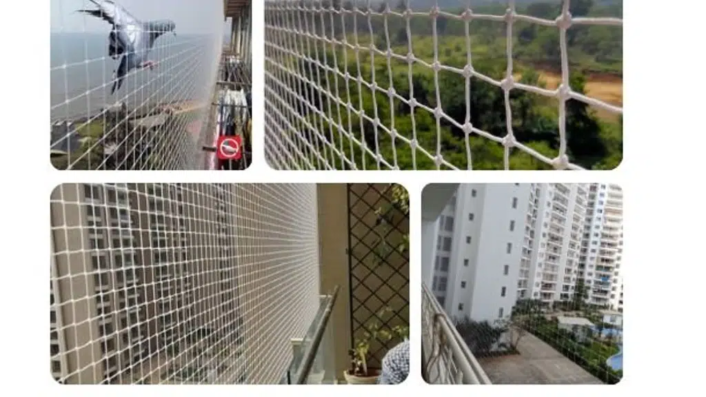 RJP Safety nets