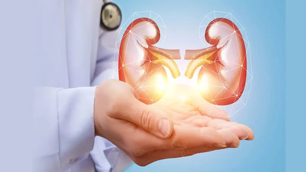 Lotus Super Specialty Hospital