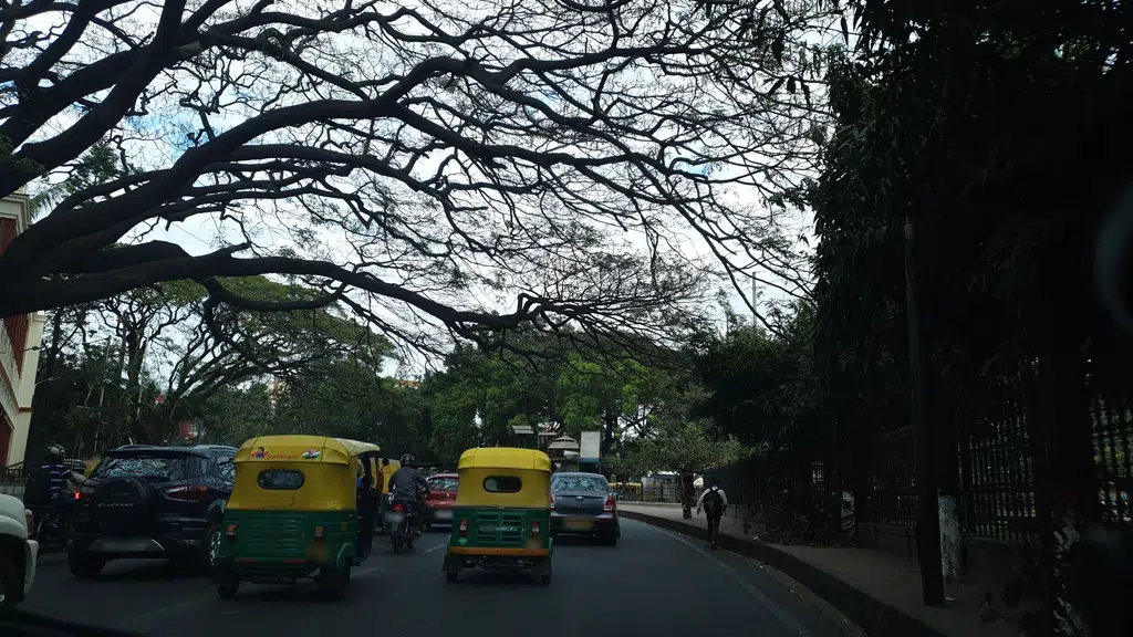 Bangalore kings