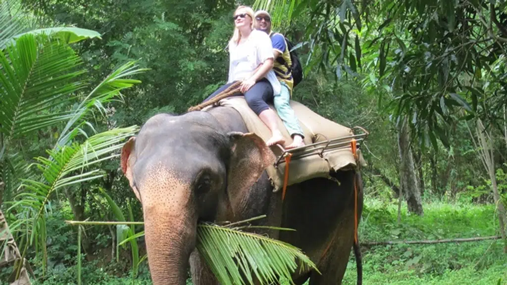 Explore India Tourism