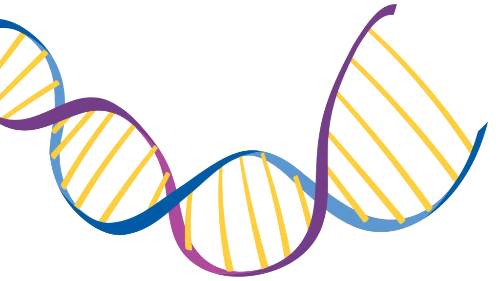 Rits Lifesciences