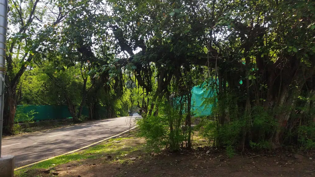 Competitive Examinations Center