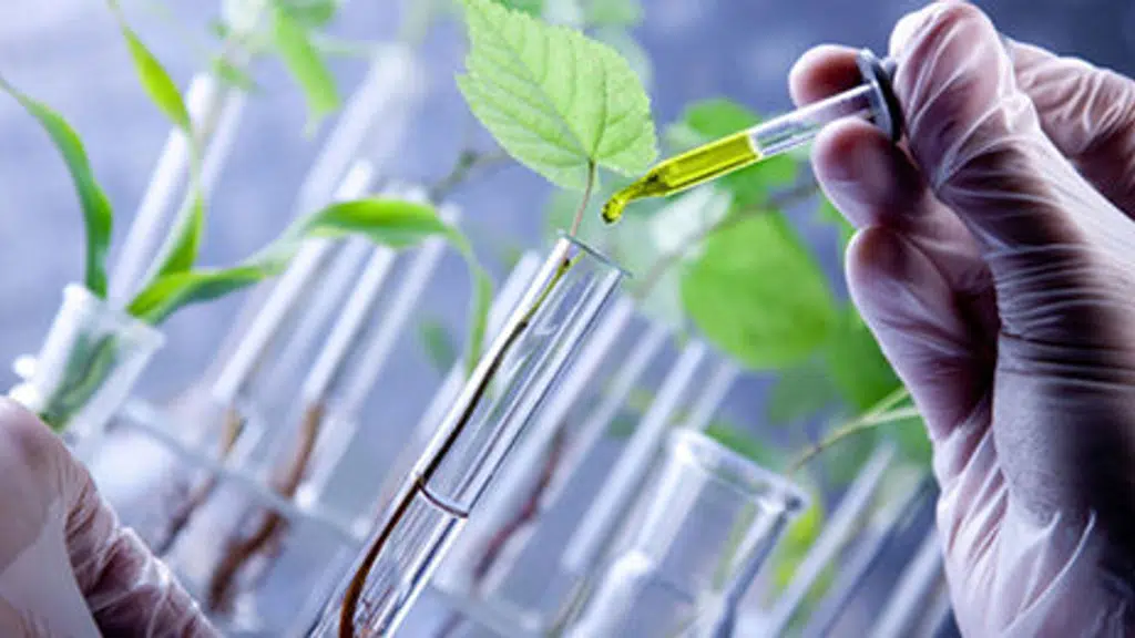 Prathibha Biotech Limited