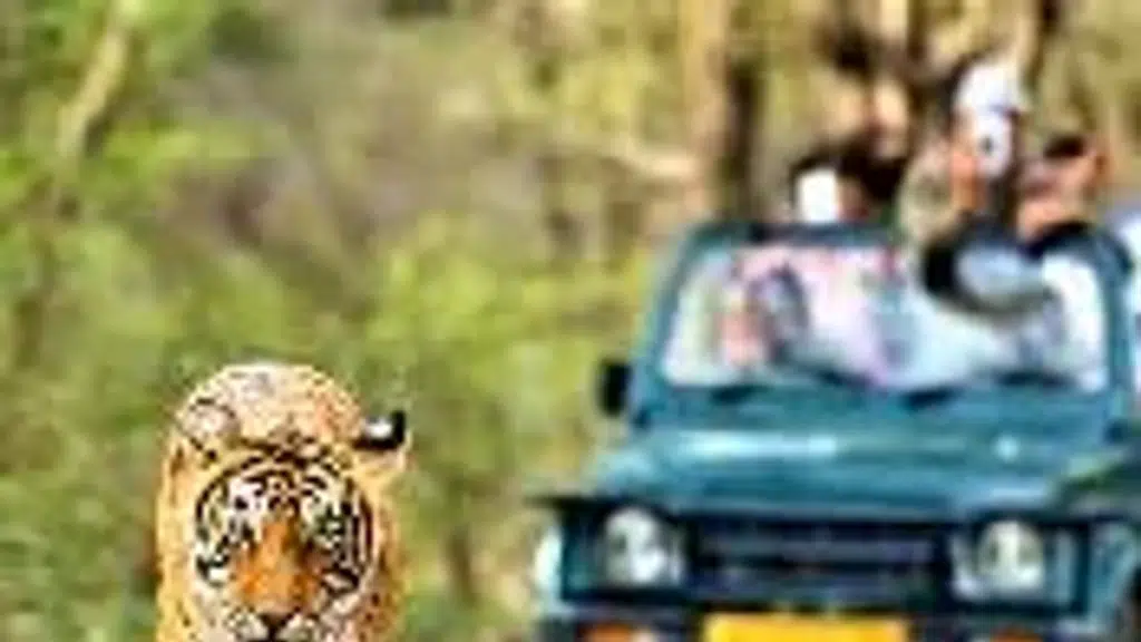 Balaka Tours and Travels