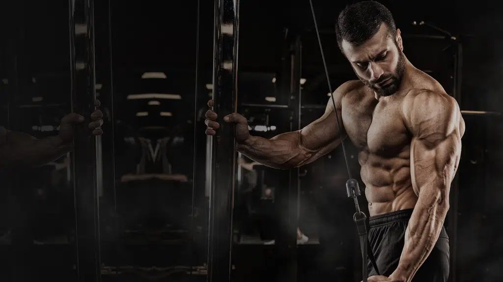 Quadz Fitness Mahalakshmilayout