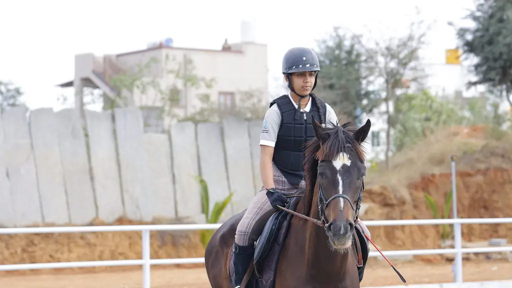 VBC Gallop Away