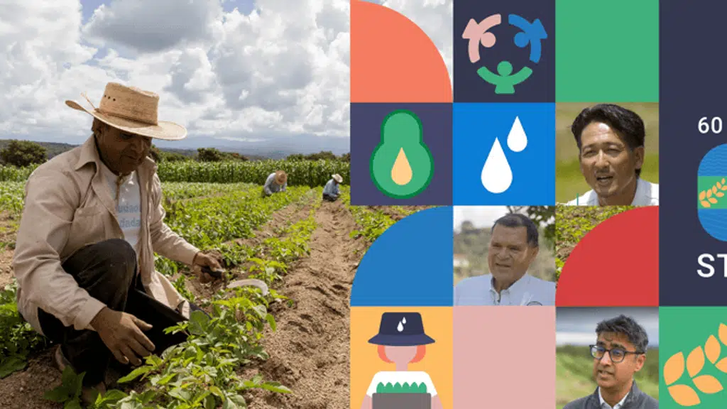 Netafim Irrigation India Private Limited