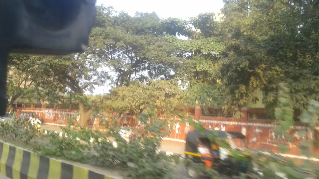 Royal Assam Tea Centre