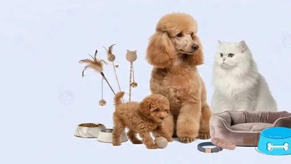 Asia Pets Shop