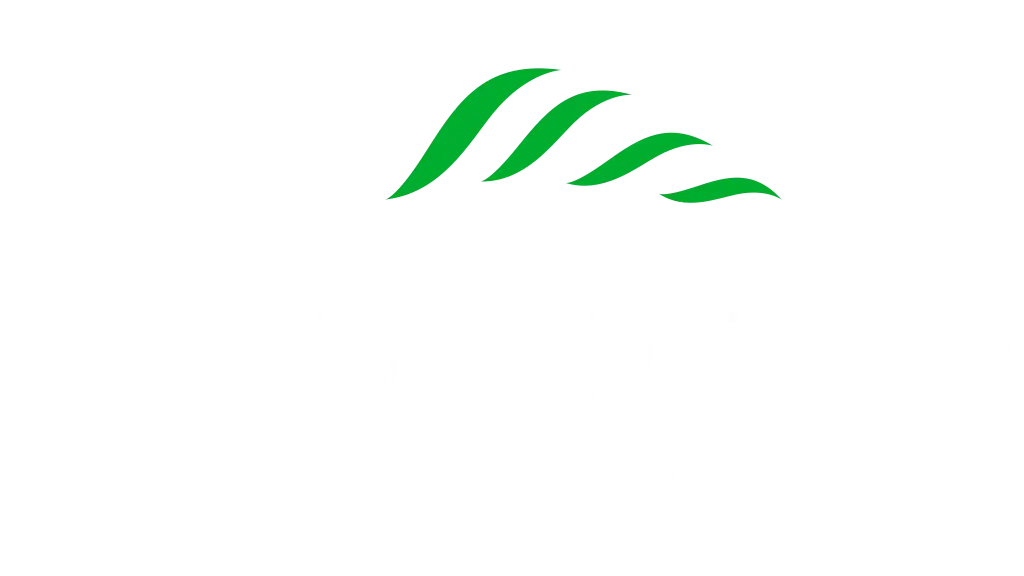 The Silver Tips