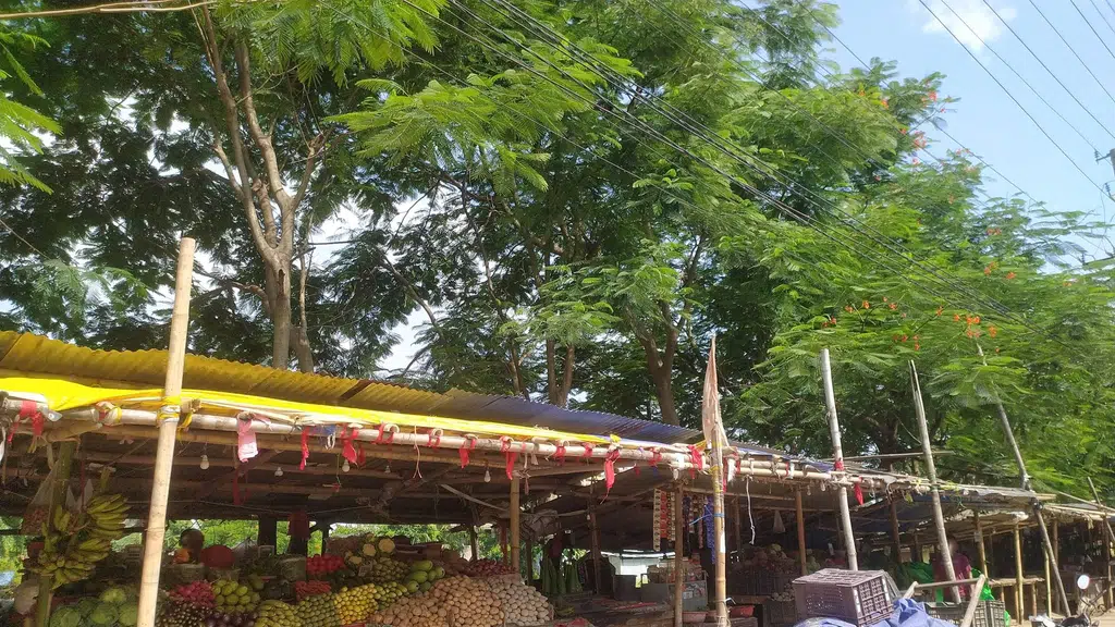 The Car Store Guwahati