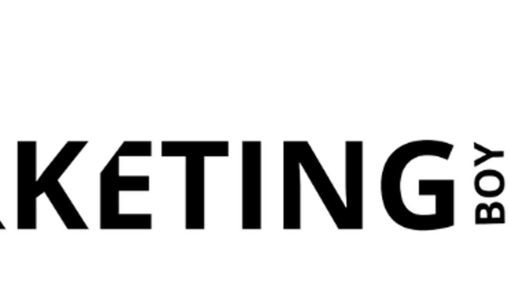 Themarketingboy | SEO Services | PPC Services | Website Development | Digital Marketing