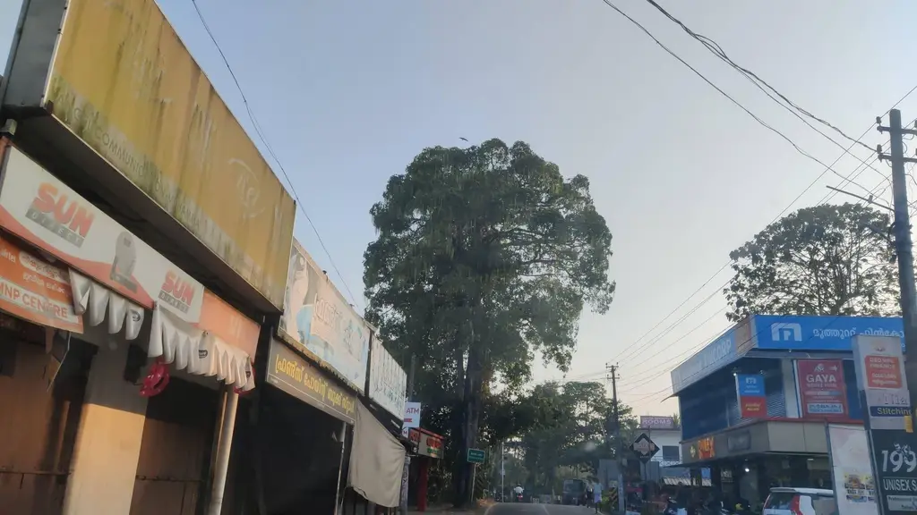 My Kalyan Mini Store