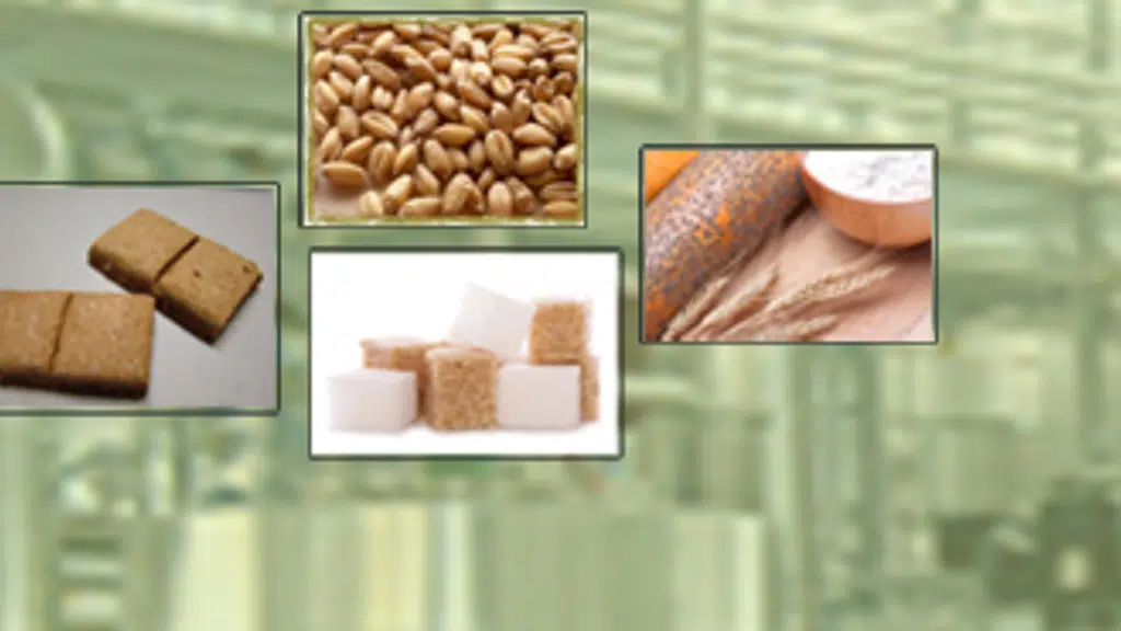 Barley Agro Foods