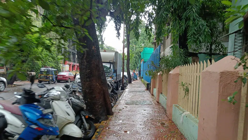 Ankita Milk Centre