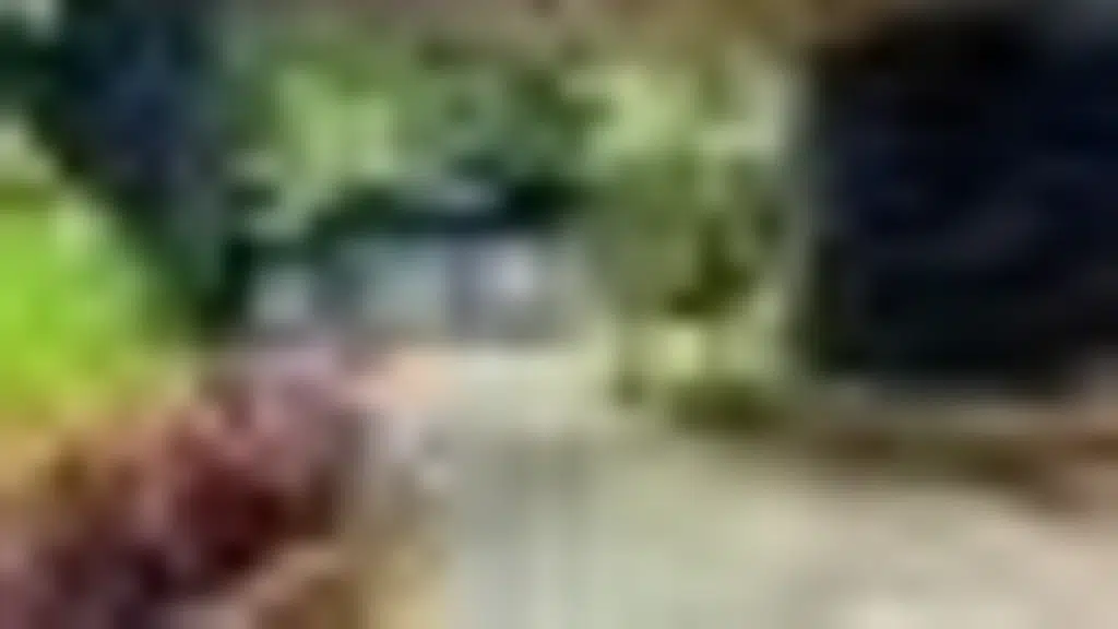 hot Kolkata Chat @ Senmohzhi Poonga