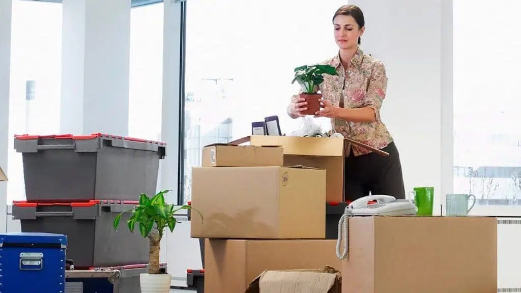 S Brothers Logistic Packers and Movers