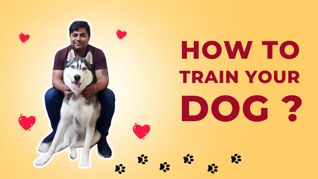 AK Dog Guru Dog Trainer