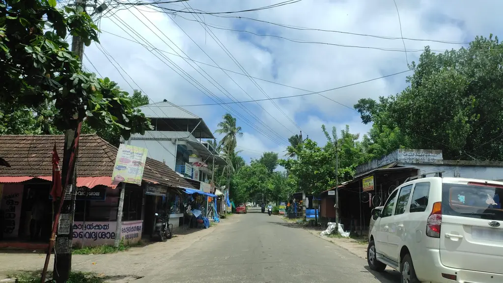 Ayurvedic medical shop