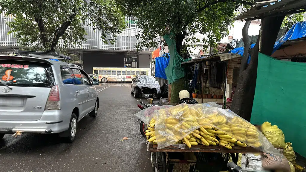 Animal Gurukul Pet Shop
