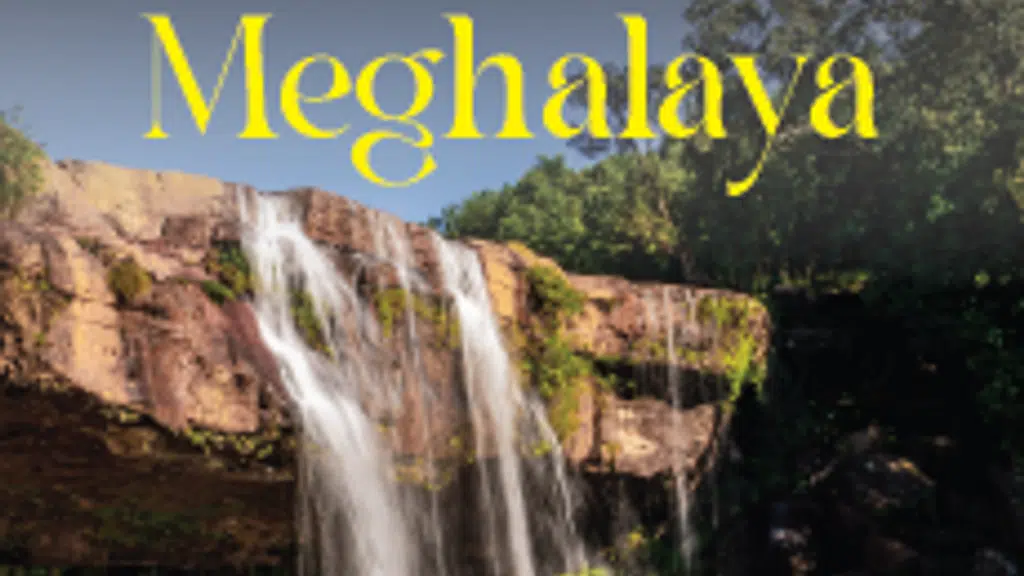 Travelyara Holidays