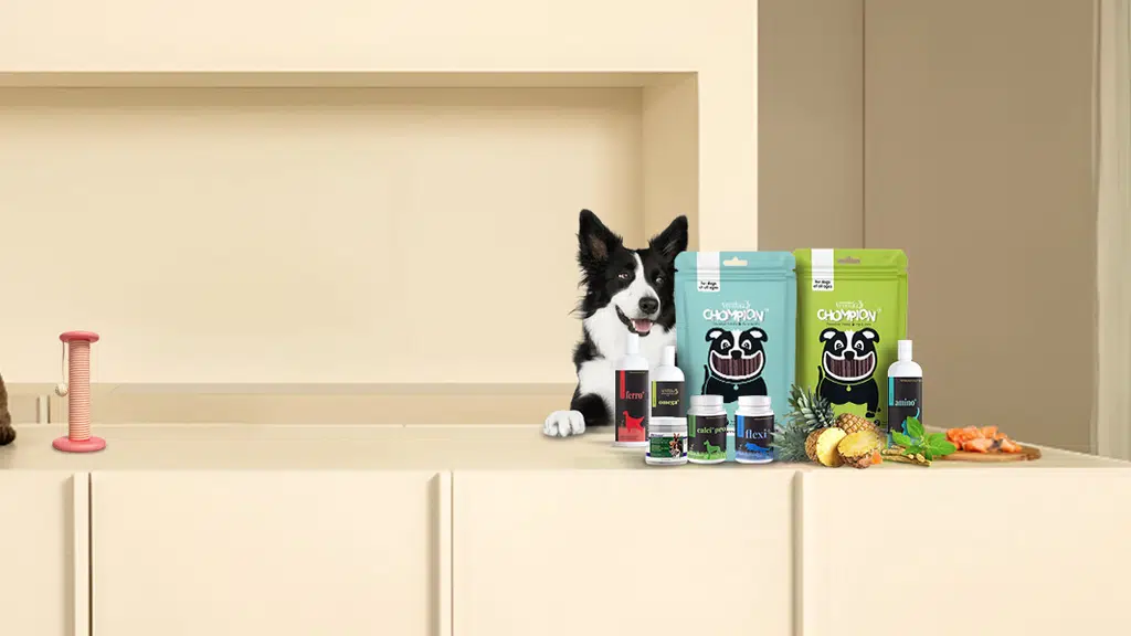 Venttura Bioceuticals