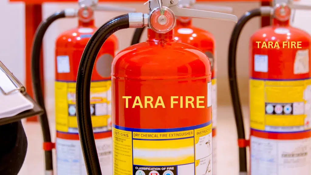 TARA FIRE