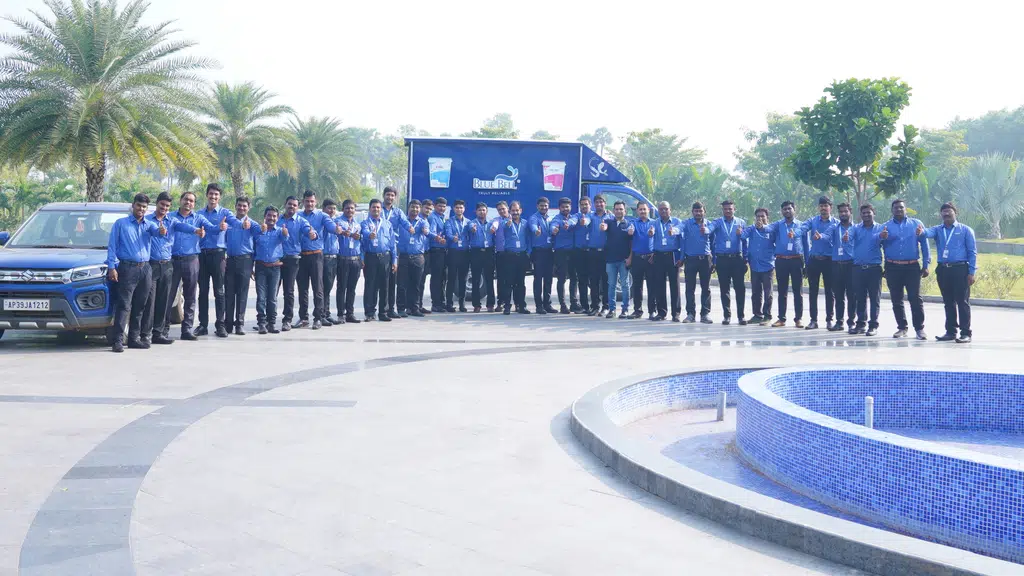 BlueBell Solutions
