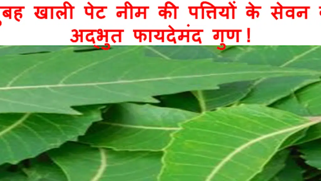 Sparsh Electro Homeopathy Clinic