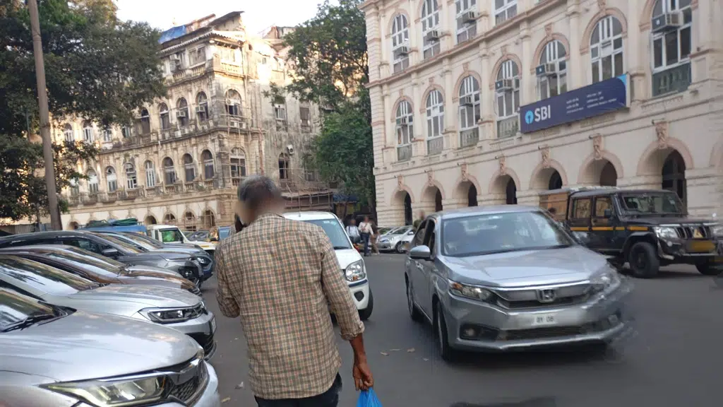 Maharaja International