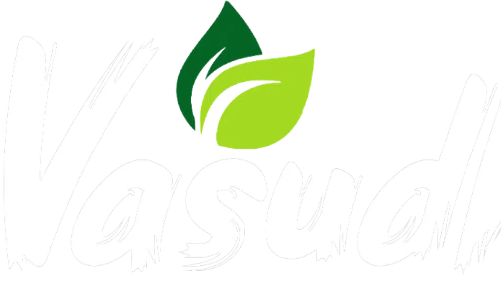 Vasudha Cleantech