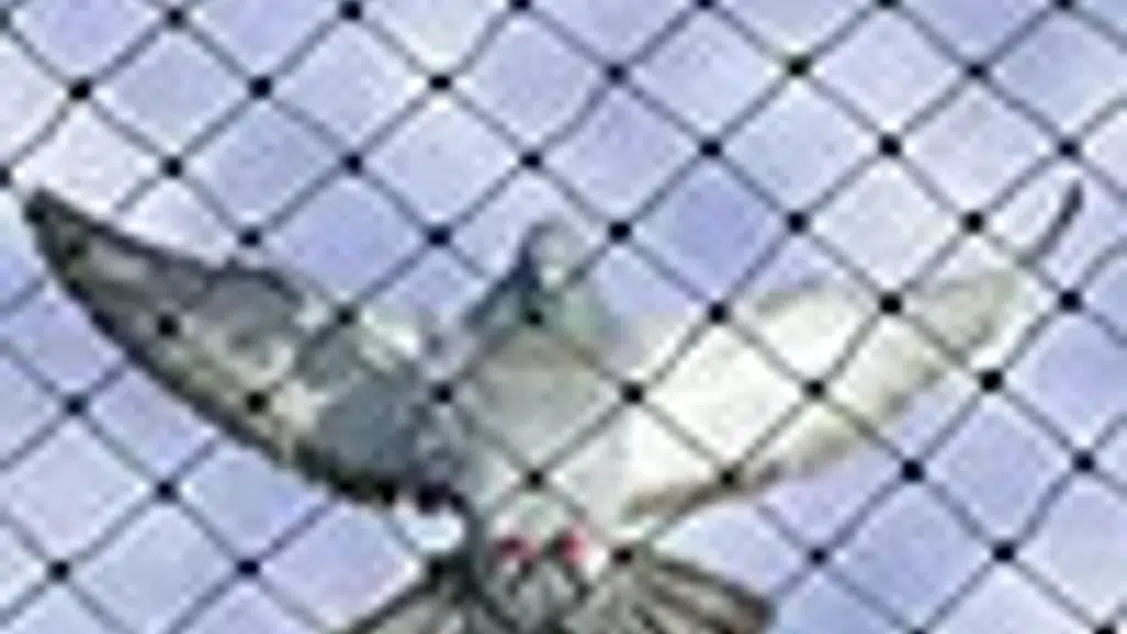 Philips Balcony Safety Nets , Anti BIRD/Pigeon Nets, Sports Nets, Cricket Nets