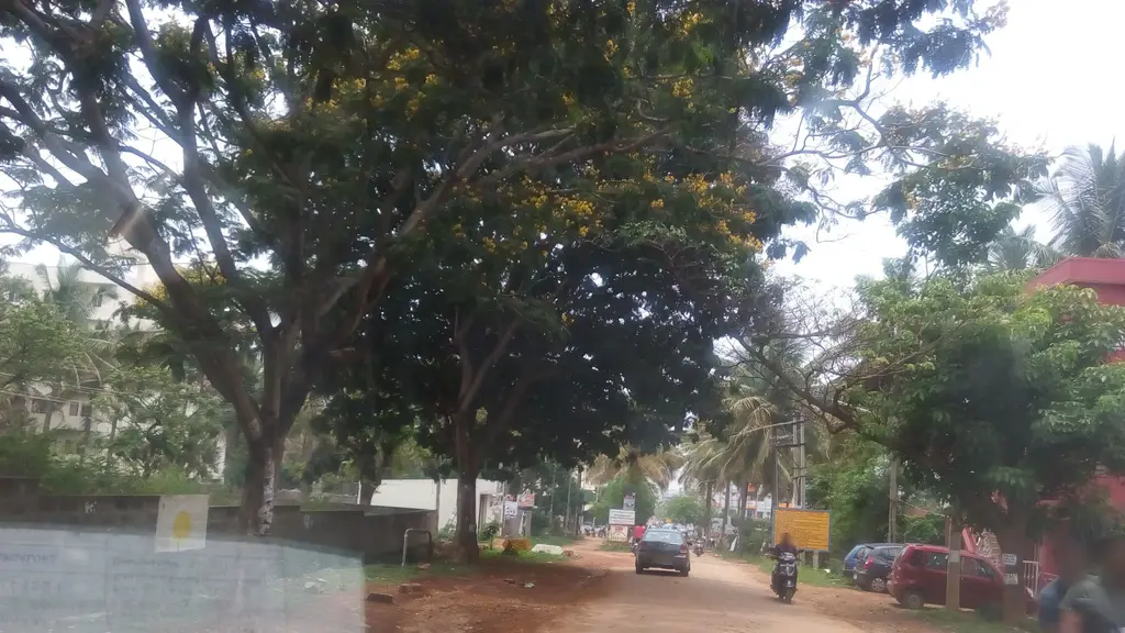 EuroKids PreSchool in Ananth Nagar Ecity, Benguluru
