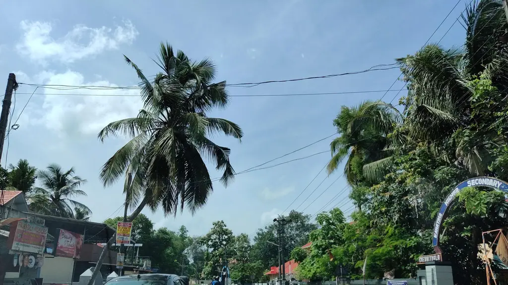 Ayyakaseril Sri Mahadeva Temple