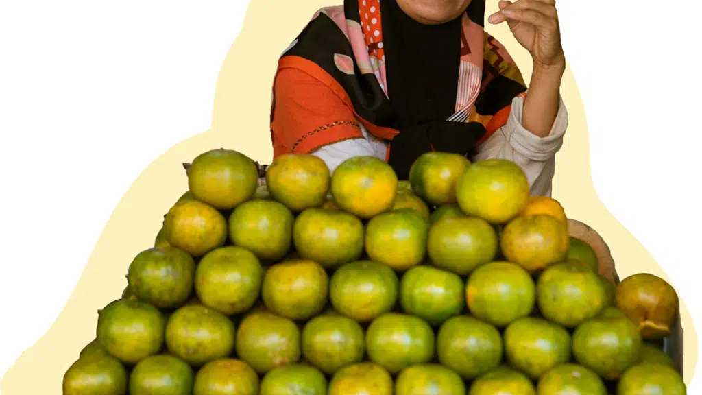 Gain India