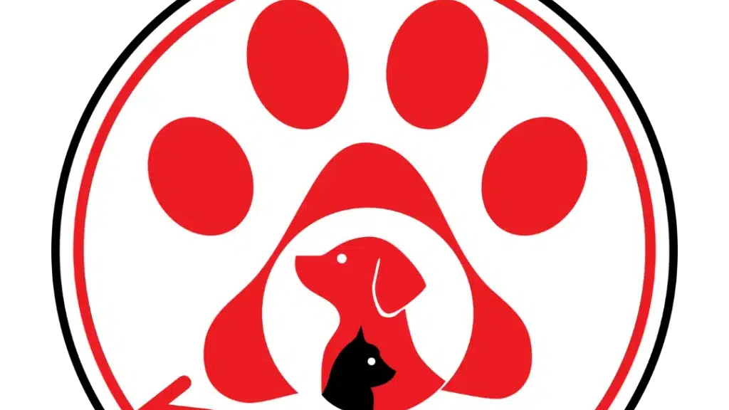 Kute Pets