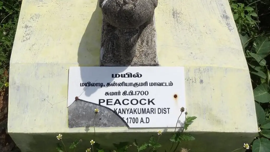Prasanthi Cashew House