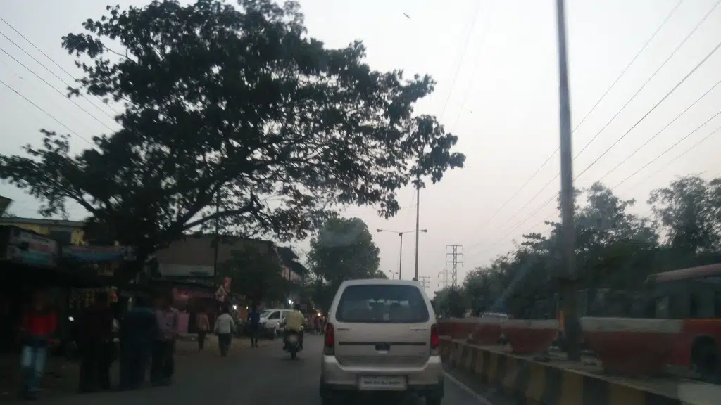 Bala Ji Fiber