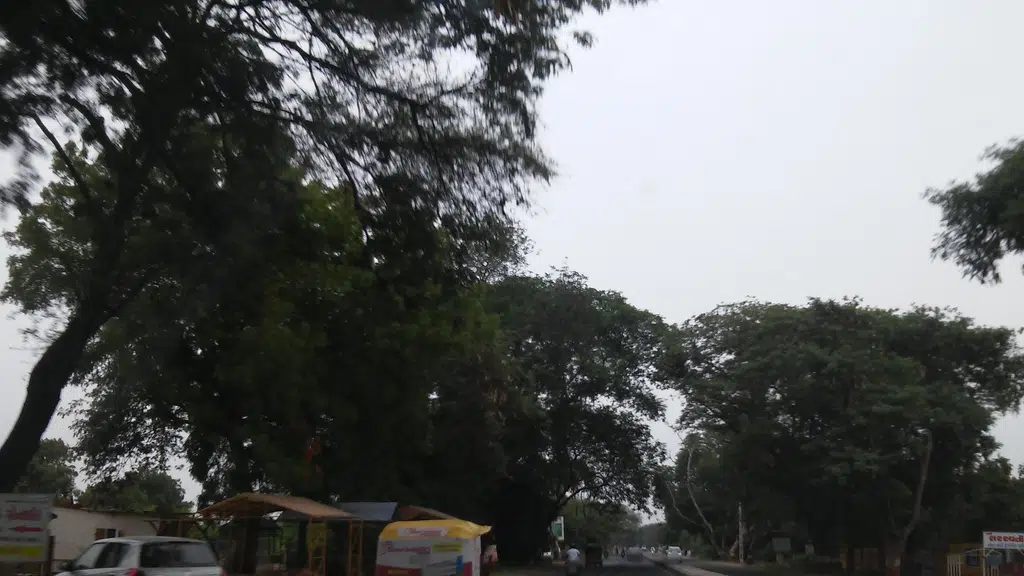 New Raja Purohit Hotel