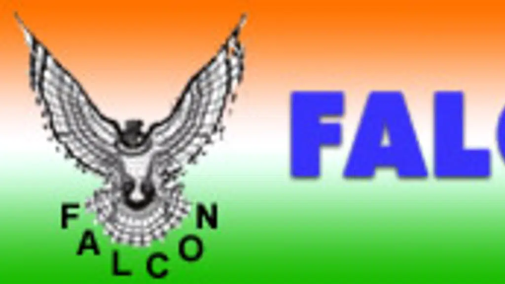 Falcon International