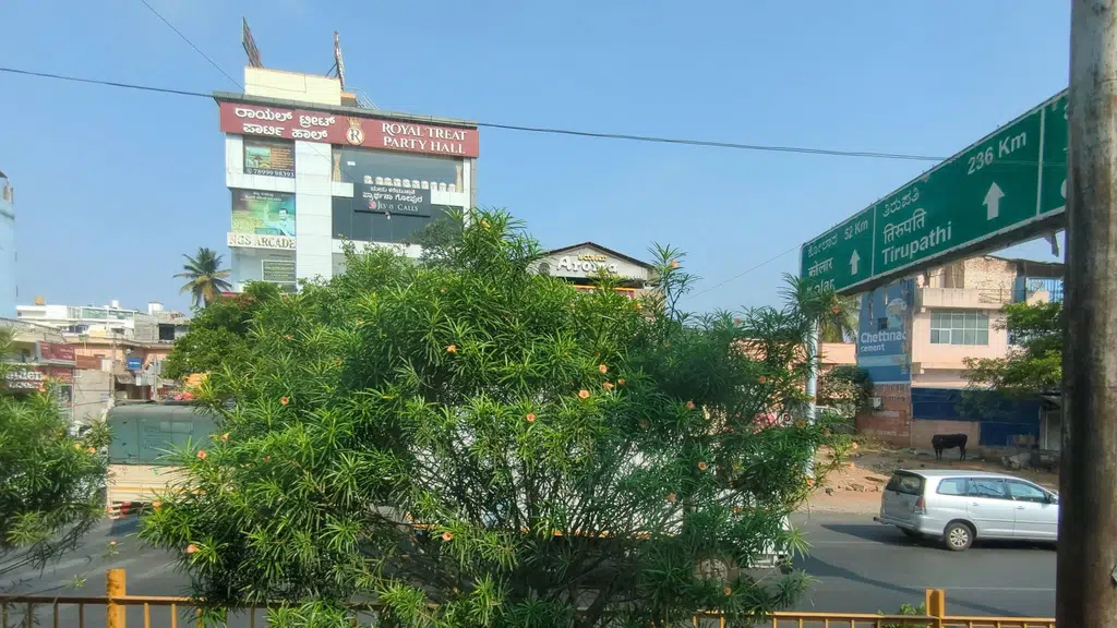 Shree raghavendra Jyothishalaya