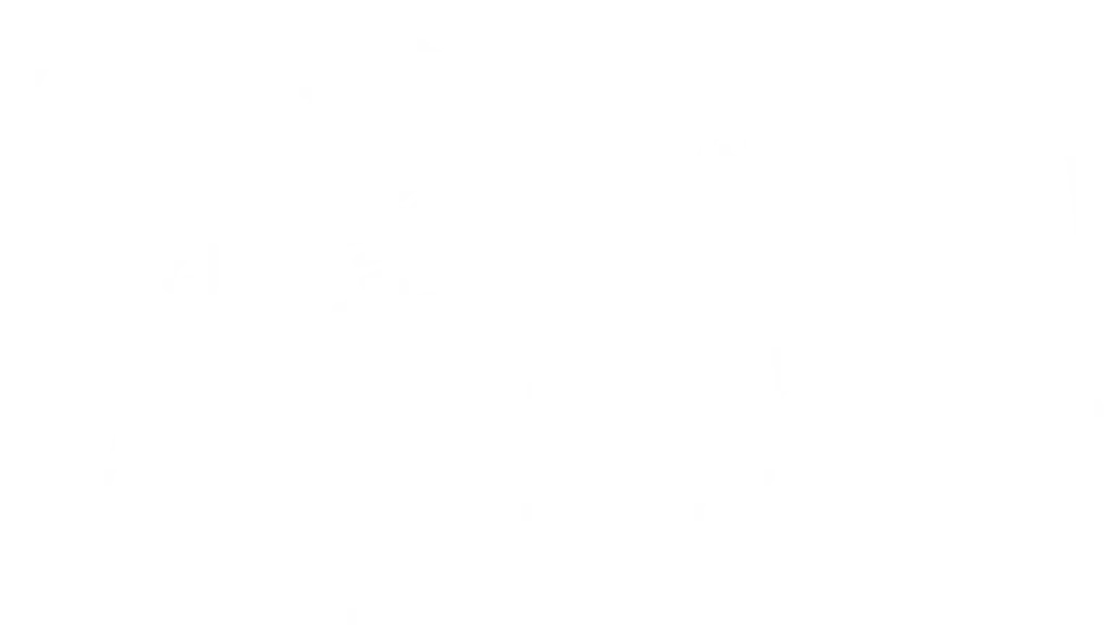 Aarnaswingstofly.com