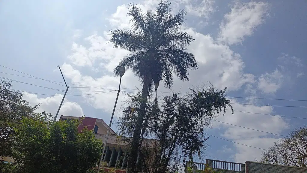 Sri Madhwa Yuvaka Sangha
