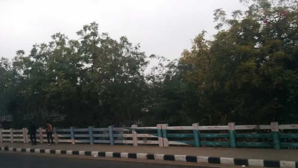 Kulfi Junction and Gajak Bhandar