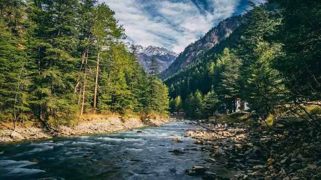 Diyasha Tour & Travels
