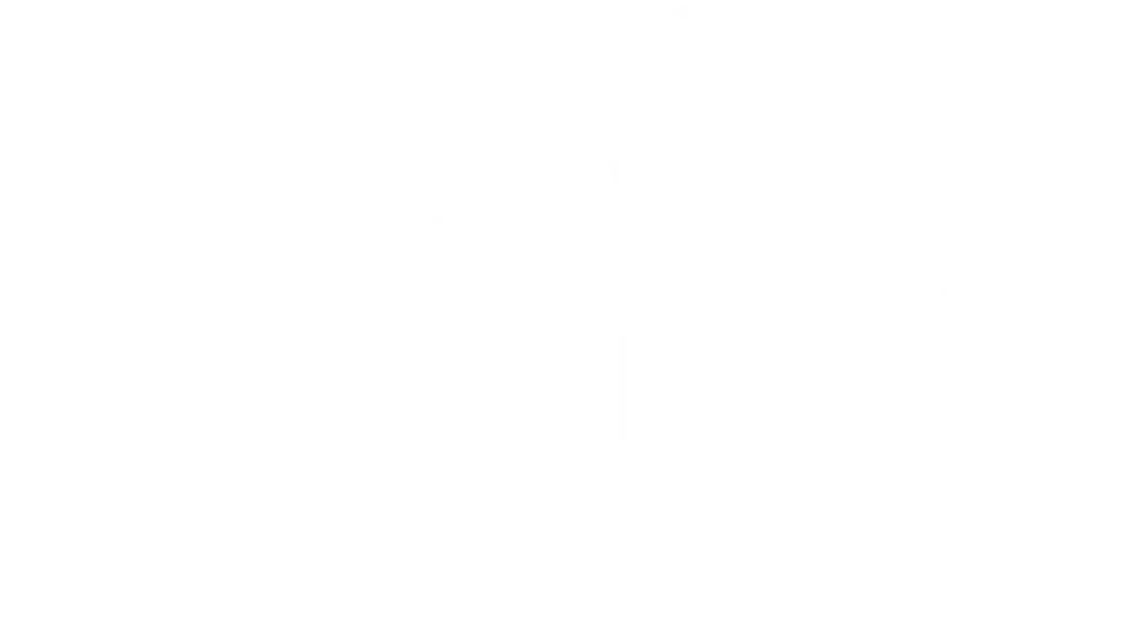 Burger Panda