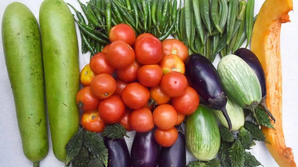 VNR Seeds Pvt. Ltd.